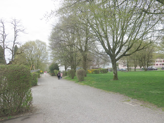Situation mit Baumbestand Wettbewerb Schulzentrum Oberhofen Münchwilen
